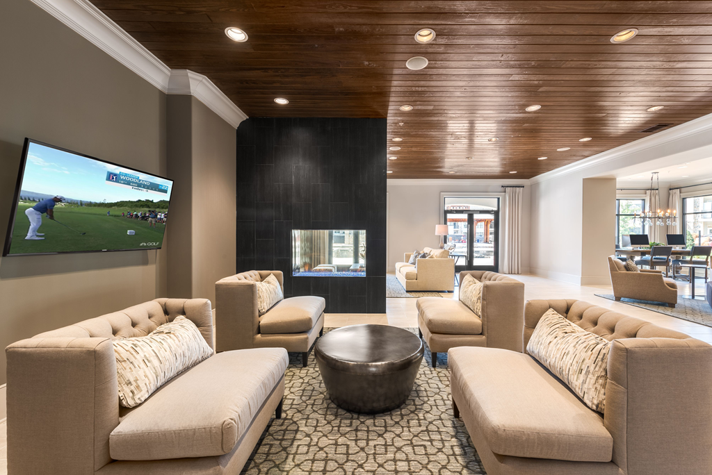 a living room with couches and chairs and a tv
