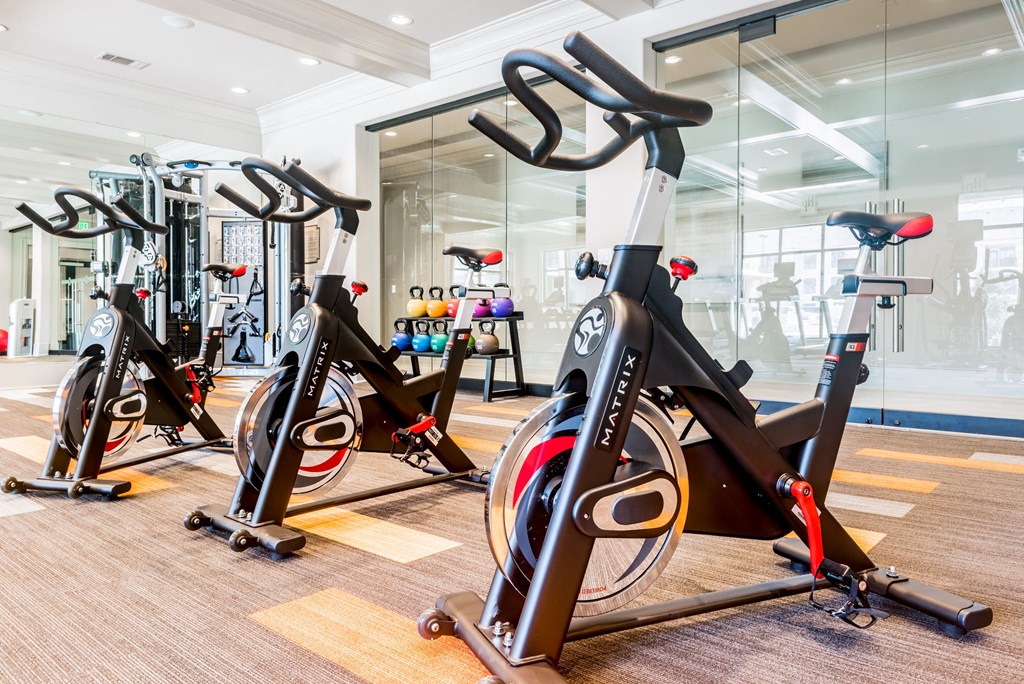 conroe tx apartments