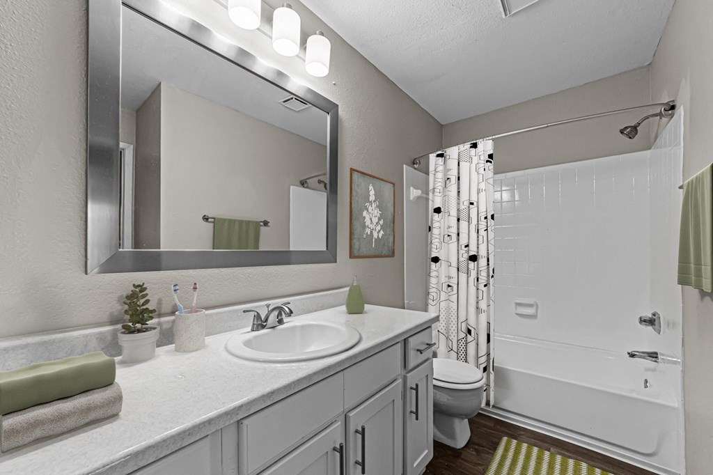 the preserve at ballantyne commons apartment bathroom with shower and sink and large mirror