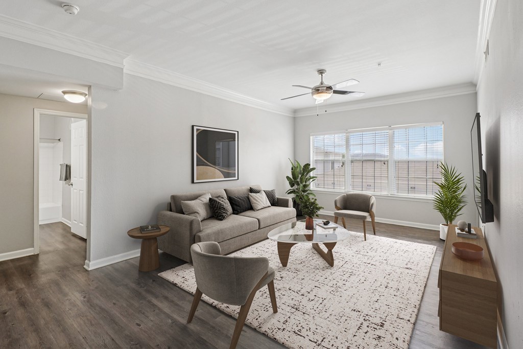 A living room with a grey couch, a coffee table, and a television.