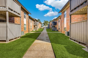 814 Bernard St 1-3 Beds Apartment for Rent - Photo Gallery 3