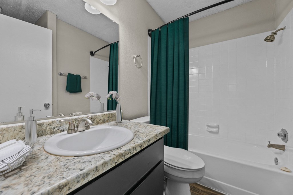 a bathroom with a sink and a shower and a toilet