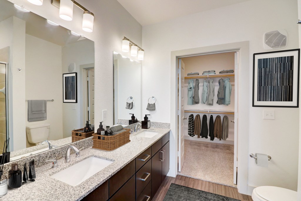 a bathroom with a sink and a mirror and a closet