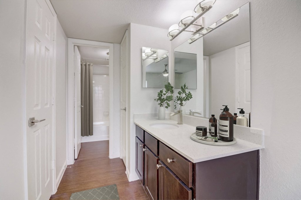 a bathroom with a large mirror and a counter with a sink