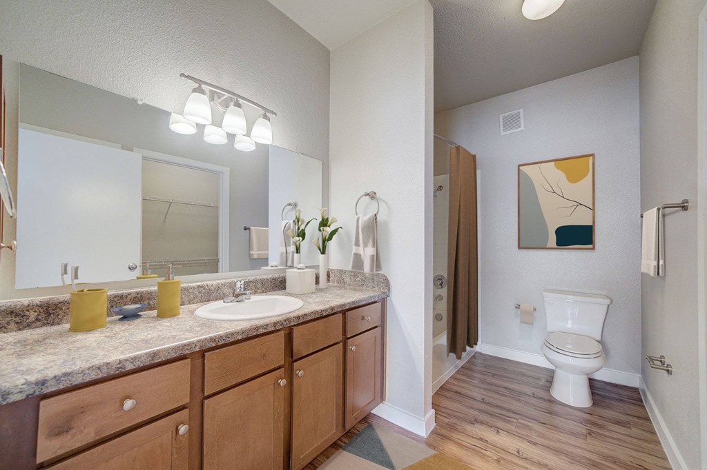 a bathroom with a toilet and a sink and a mirror