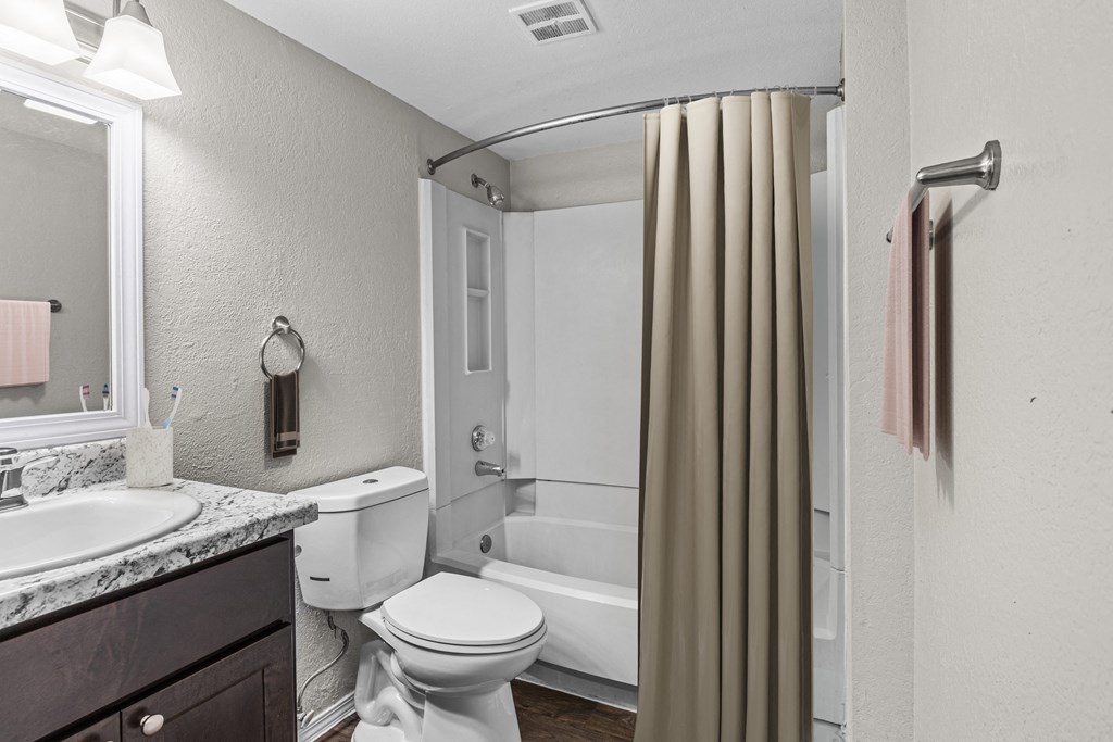 a bathroom with a shower toilet and a sink