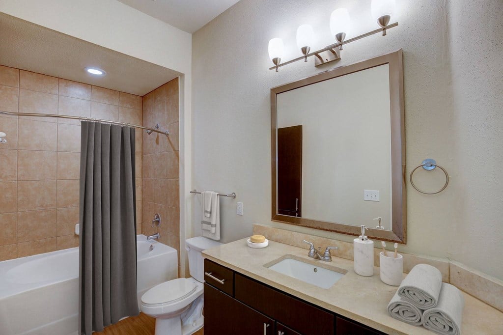 a bathroom with a sink and a mirror and a shower