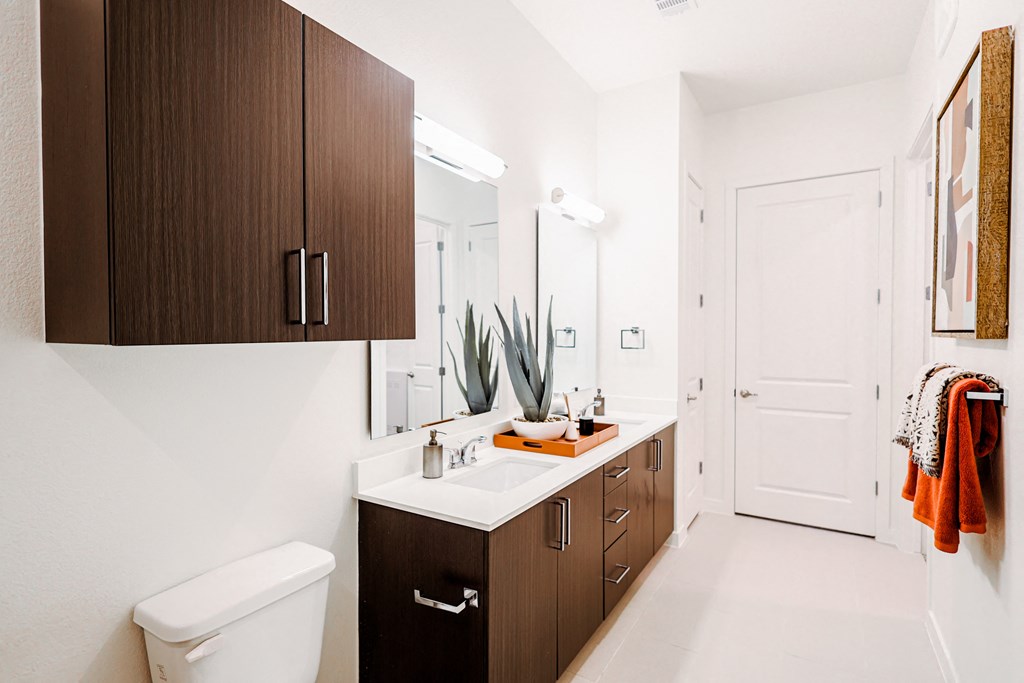 a bathroom with a sink and a mirror and a toilet