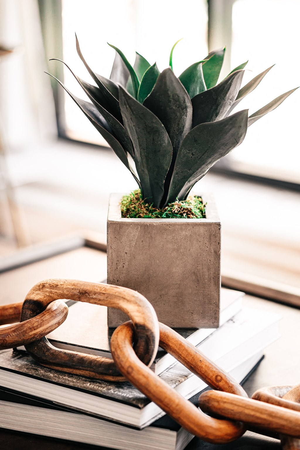 a plant on a table with a wooden rocking chair