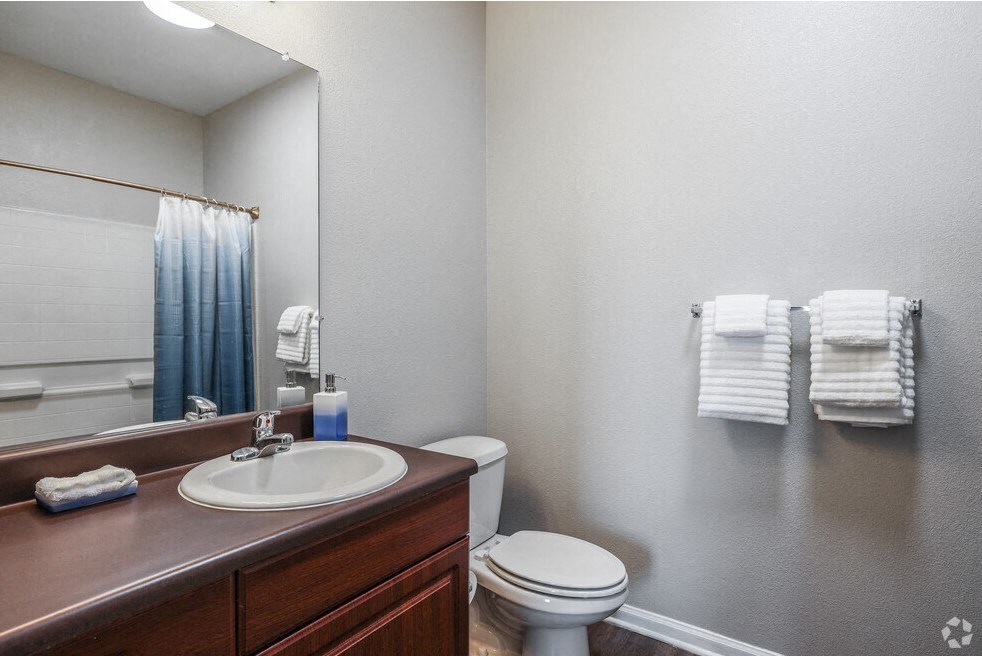 a bathroom with a sink toilet and a mirror