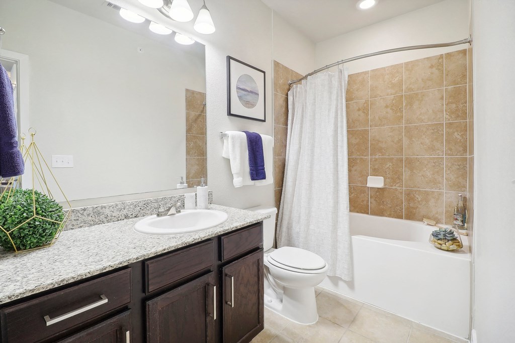 a bathroom with a sink and a toilet and a shower