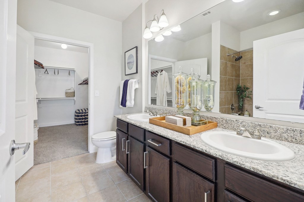 a bathroom with a sink and a toilet and a mirror