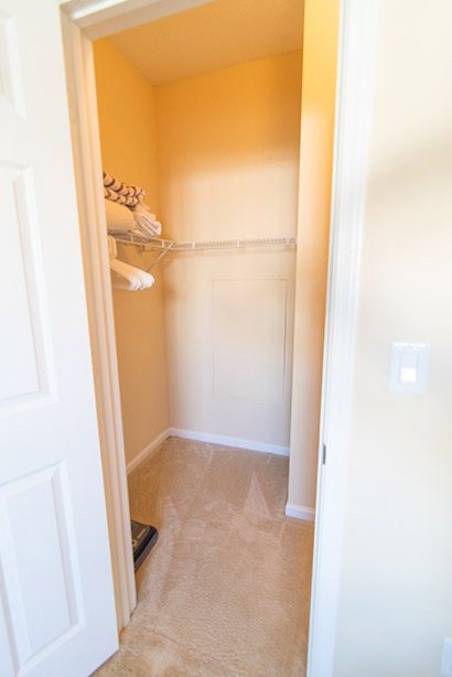 A white door is open to a hallway with a carpeted floor.