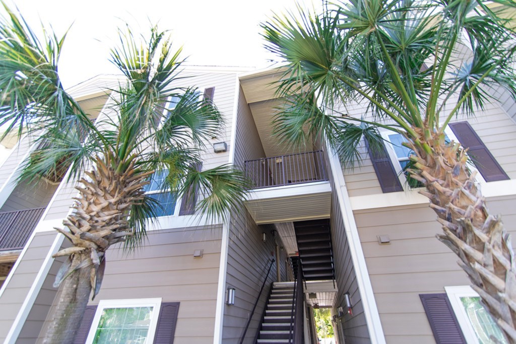 Palm trees in front of a building with a staircase.