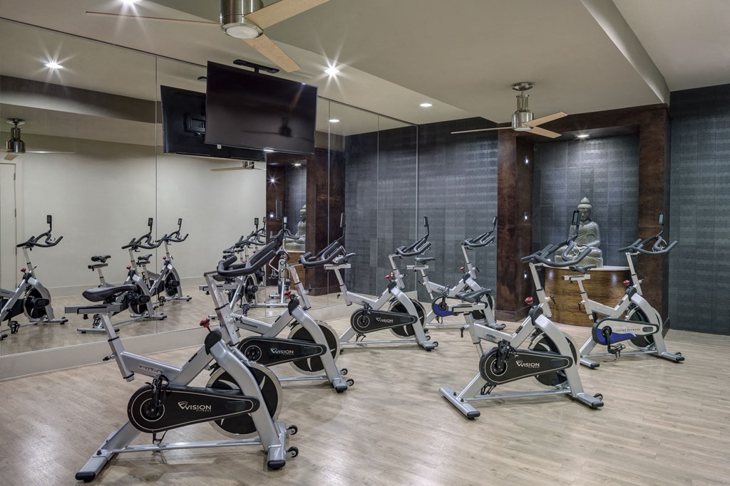 spring tx apartments