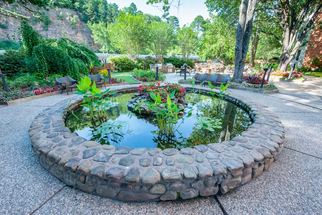 a small pond in the middle of a park