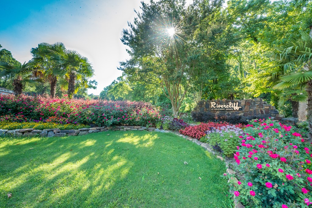 additional photo for property listing at a hidden gem in the avenues constantia, western cape,