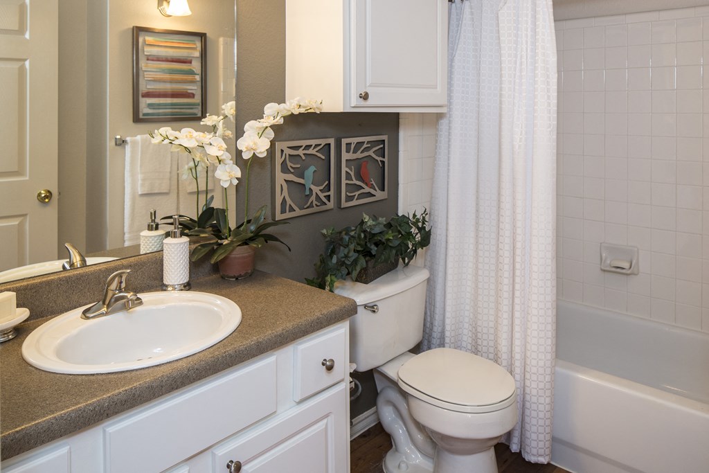 a bathroom with a sink toilet and bathtub