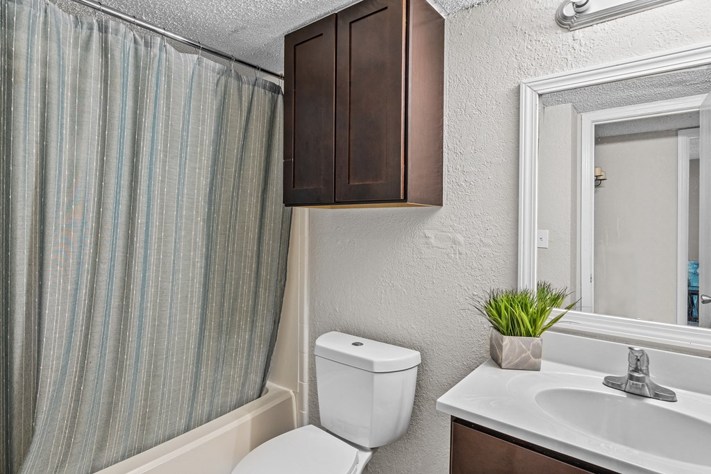 the enclave at homecoming terra vista bathroom