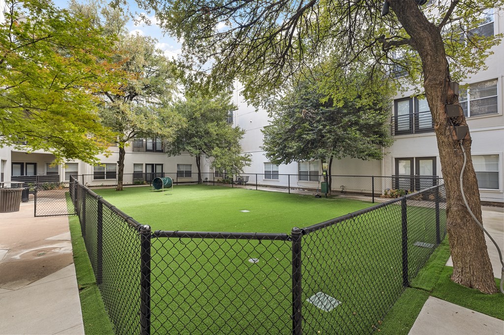 rent apartment in East Dallas
