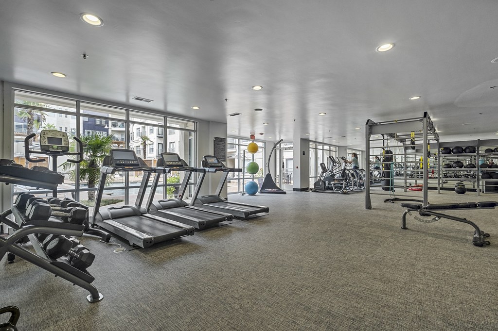 Apartments in East Dallas, TX for rent 