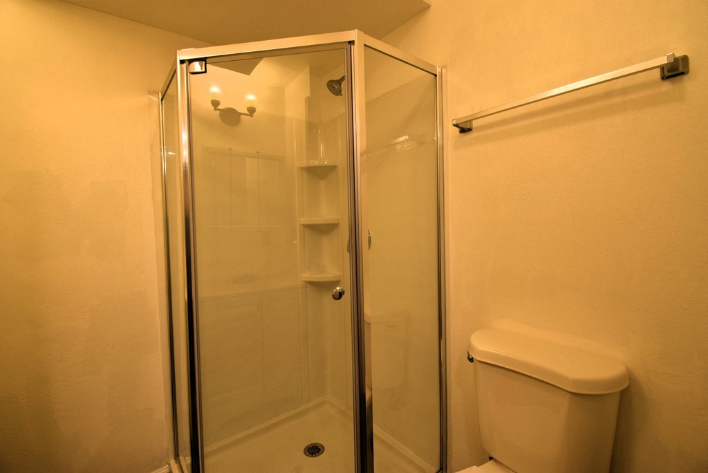 a bathroom with a shower and a toilet