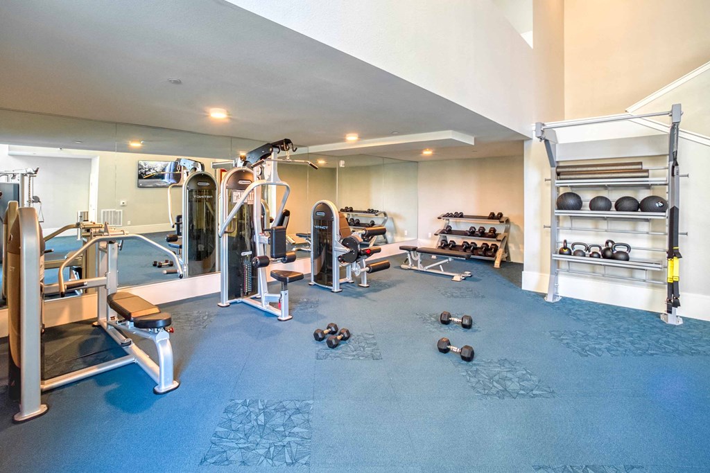 a gym with weights and cardio equipment in a home gym