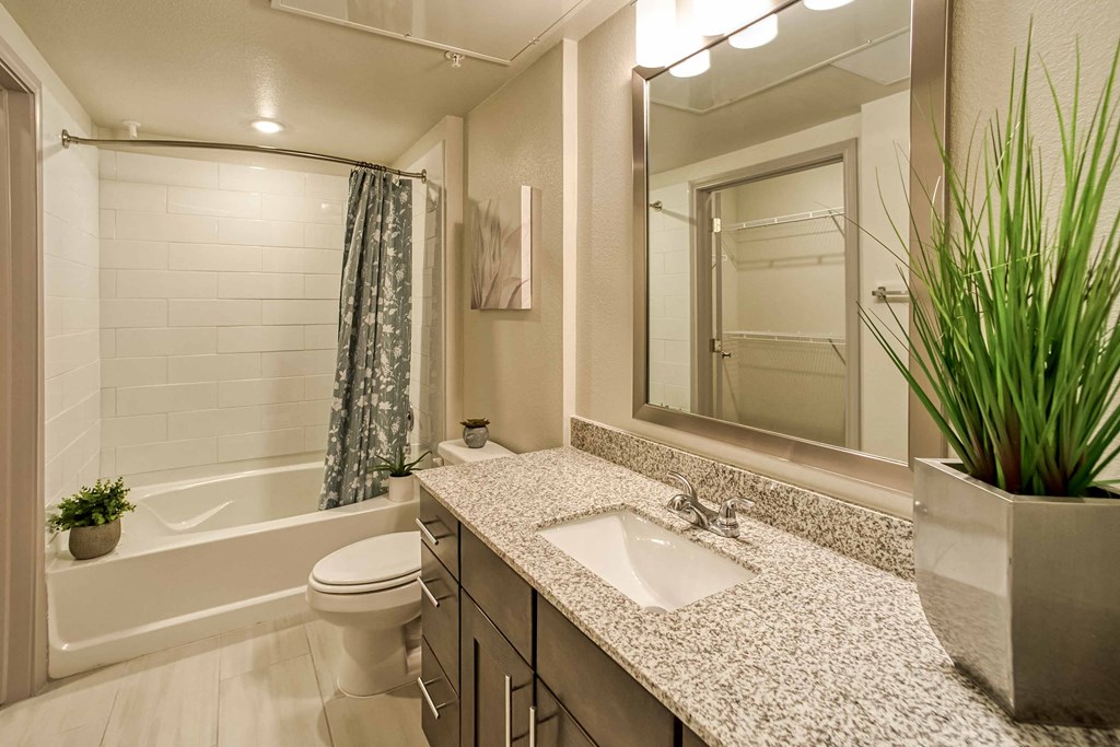 a bathroom with a sink and a toilet and a shower