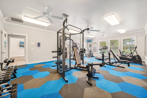 the gym at the preserve at green trees apartments sc