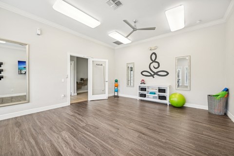 a living room with a large mirror and a toy ball