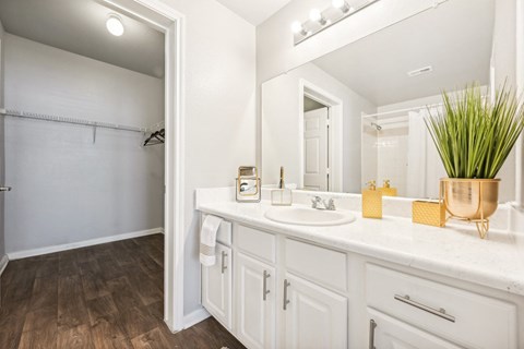 a bathroom with a sink and a mirror and a shower