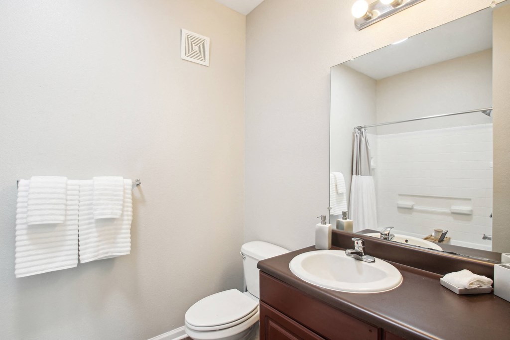 a bathroom with a sink and a toilet and a mirror