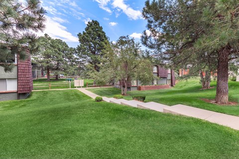 A grassy area with a pathway and trees in the background.