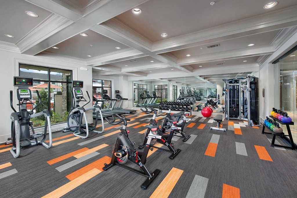 conroe tx apartments