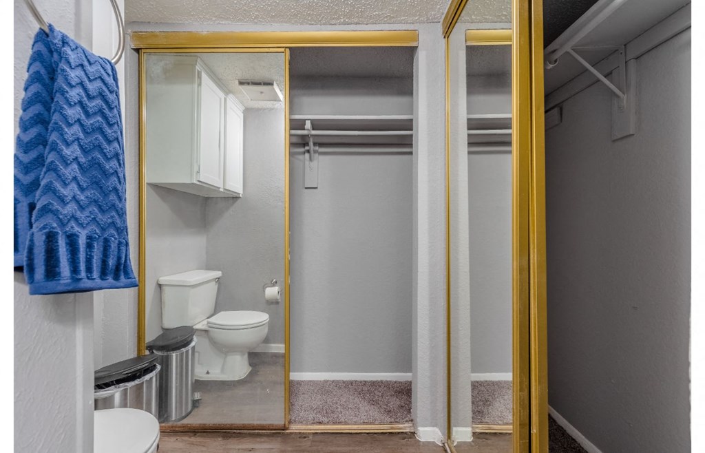 a bathroom with a toilet and a shower and a mirror
