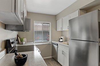 25350 US-19 North Studio-3 Beds Apartment for Rent - Photo Gallery 3