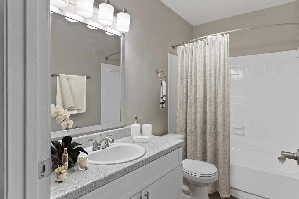 a bathroom with a sink and a toilet and a shower