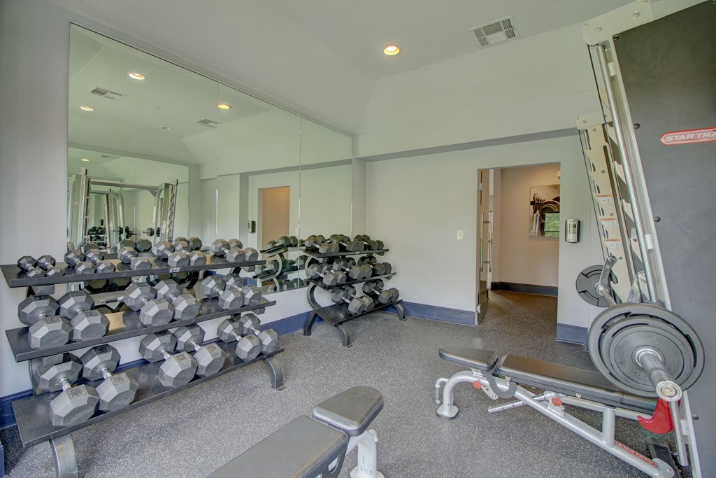 a fully equipped fitness center with cardio equipment and mirrors