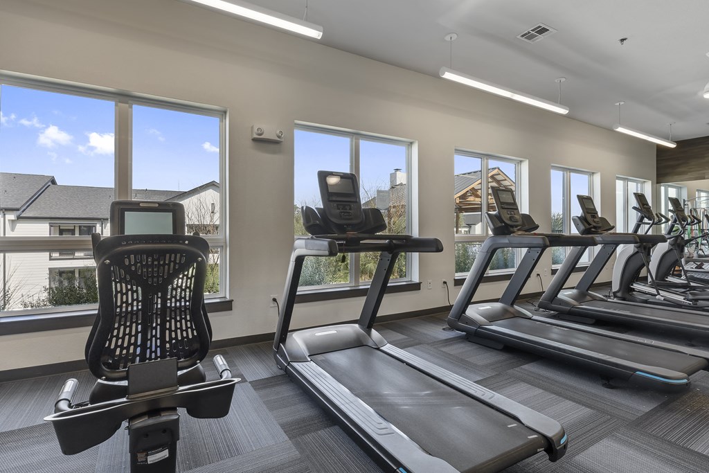 two rows of treadmills in a gym with windows