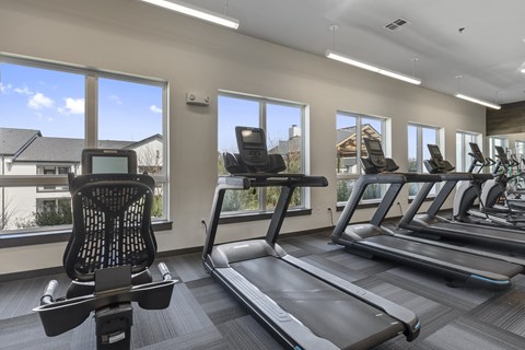 two rows of treadmills in a gym with windows