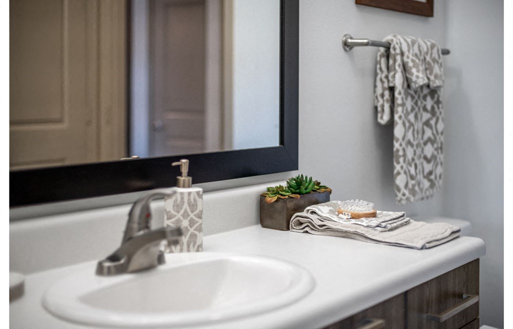 a bathroom with a sink and a mirror