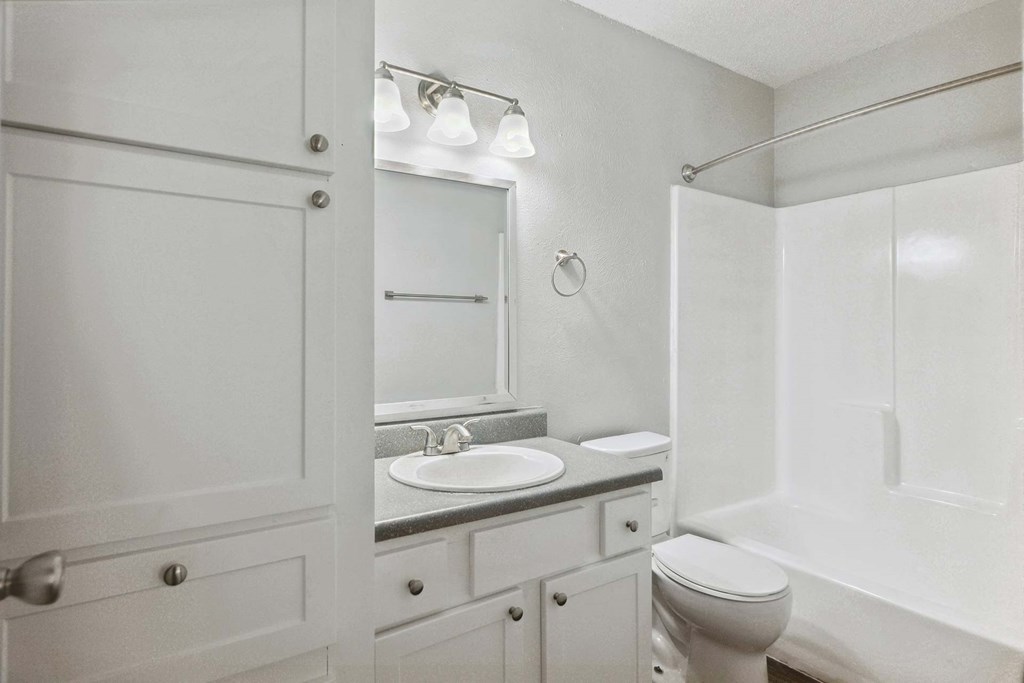 a bathroom with a sink and a toilet and a shower