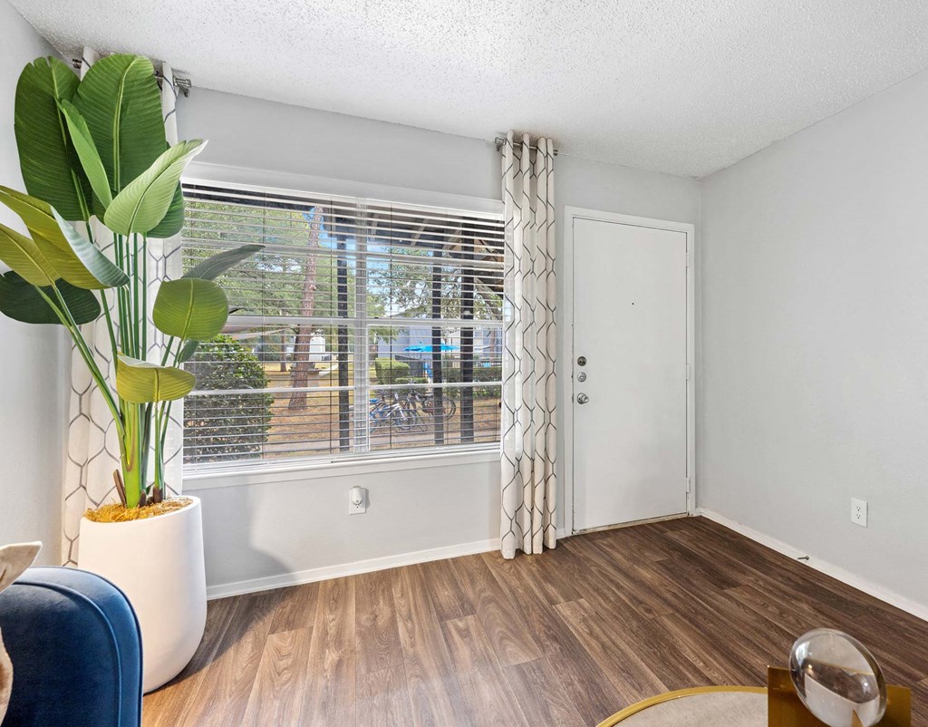 a living room with a large window and a potted plant