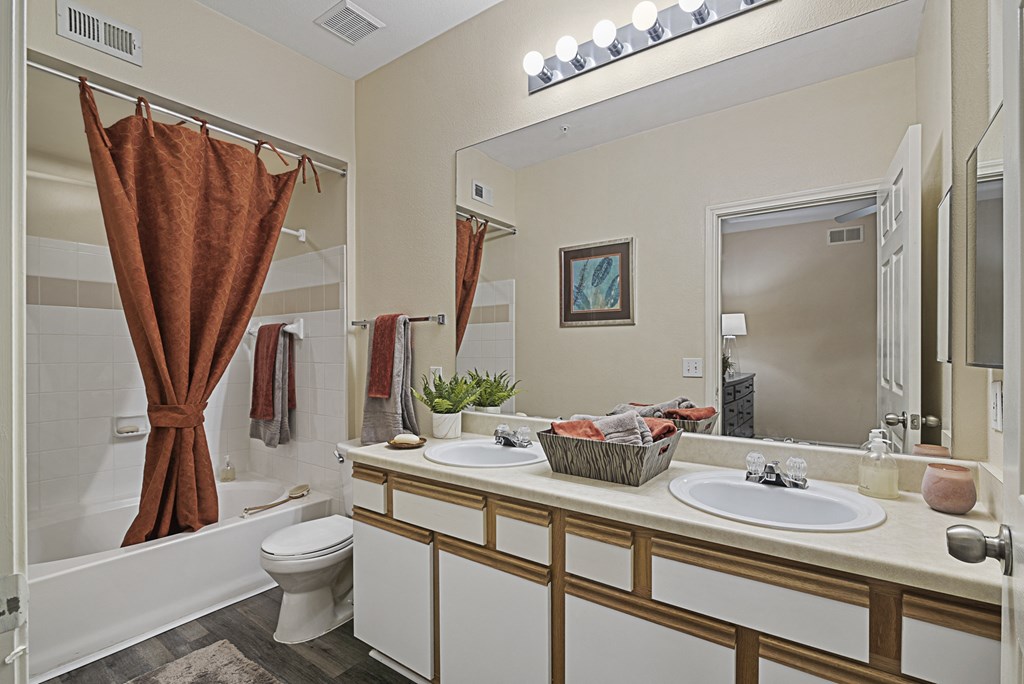 a bathroom with a sink and a toilet and a shower and a bath tub