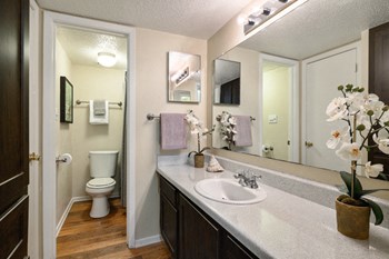 apartments for rent in Euless, TX - Photo Gallery 8