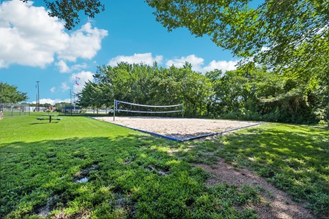 a volleyball court in a park with trees