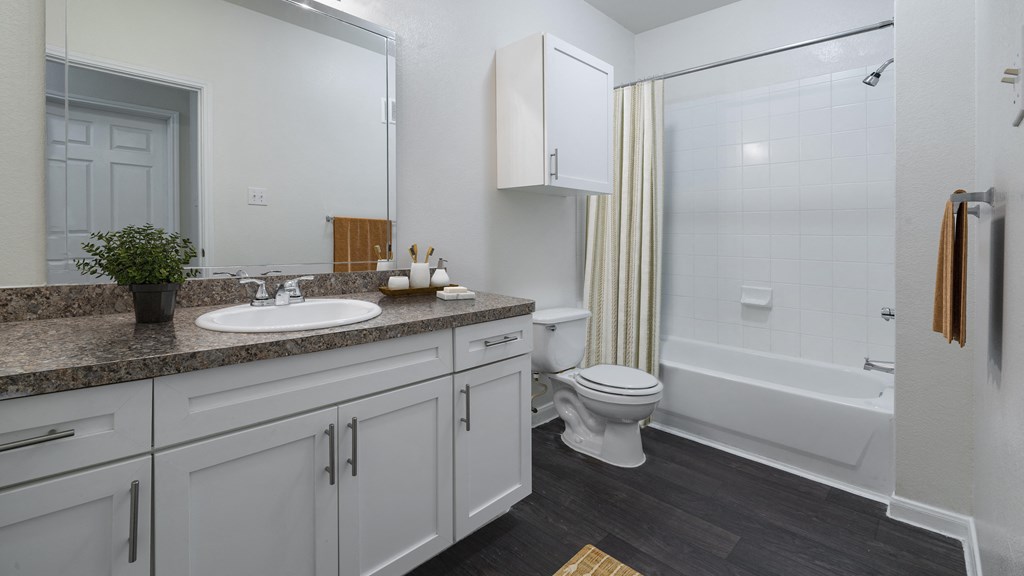 a bathroom with a sink toilet and a shower