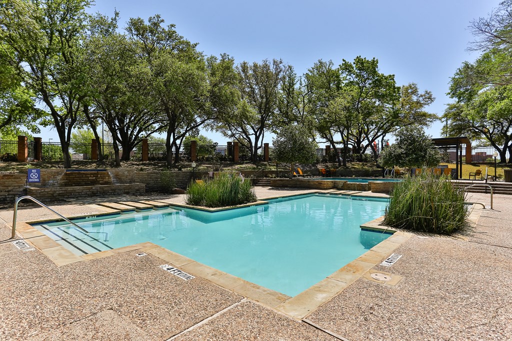 A small pool surrounded by trees and bushes.