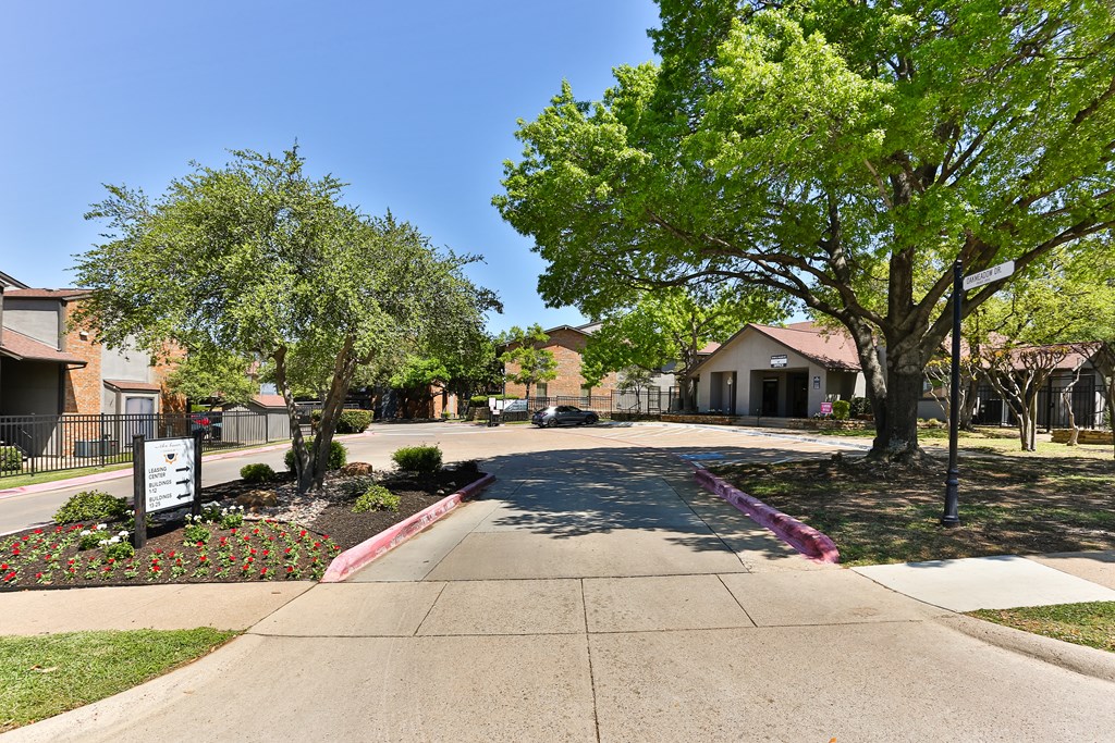 A tree-lined street with a sign on the sidewalk.