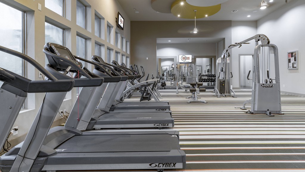 a row of cardio machines in a gym